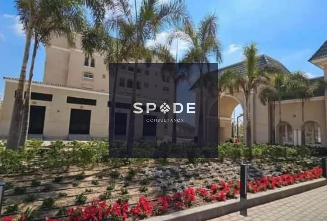 8477320 - Property Image 3