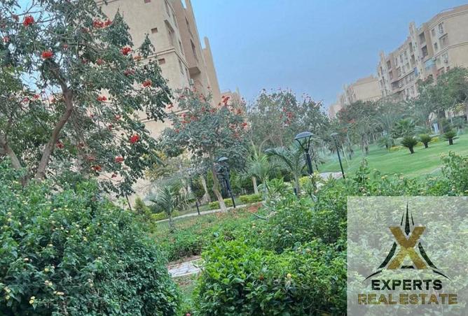 8396409 - Property Image 2