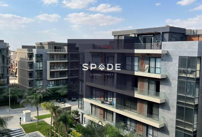 8158344 - Property Image 3