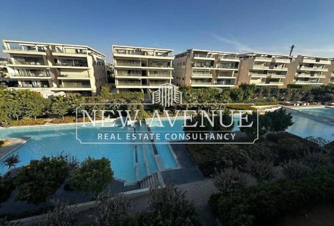 8236273 - Property Image 3