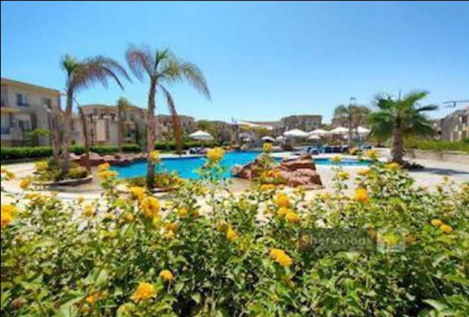 8191657 - صورة العقار 3