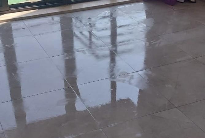 8297304 - Property Image 3