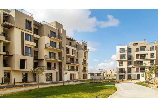 8091247 - Property Image 3