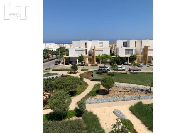 7654216 - الصورة الرئيسية للعقار