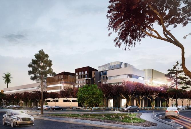 8215692 - Property Image 3