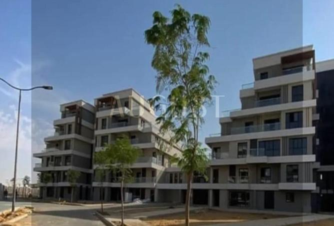 8120351 - Property Image 3