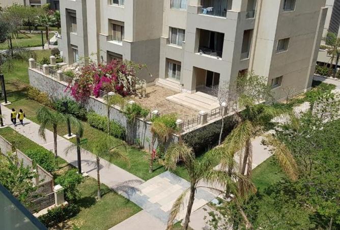 8293596 - Property Image 3