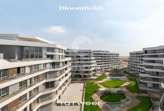 8217300 - Property Image 3