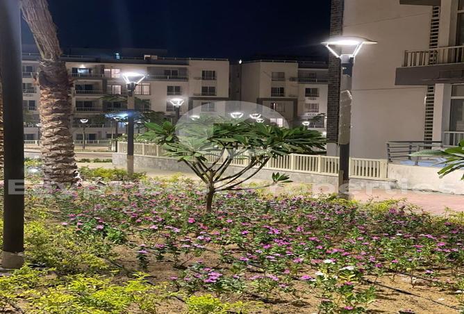 7970444 - صورة العقار 2