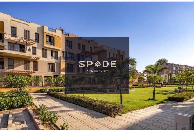 8262599 - Property Image 2