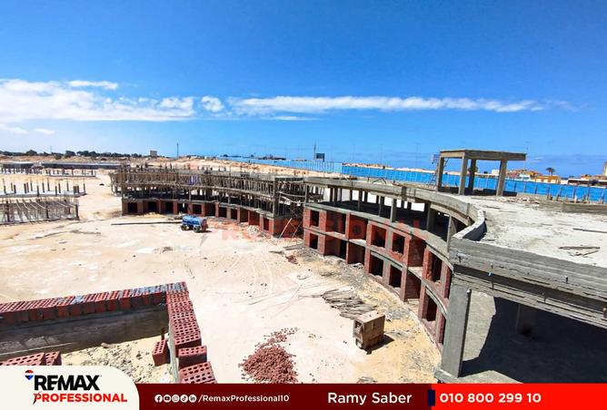 8427469 - Property Image 2