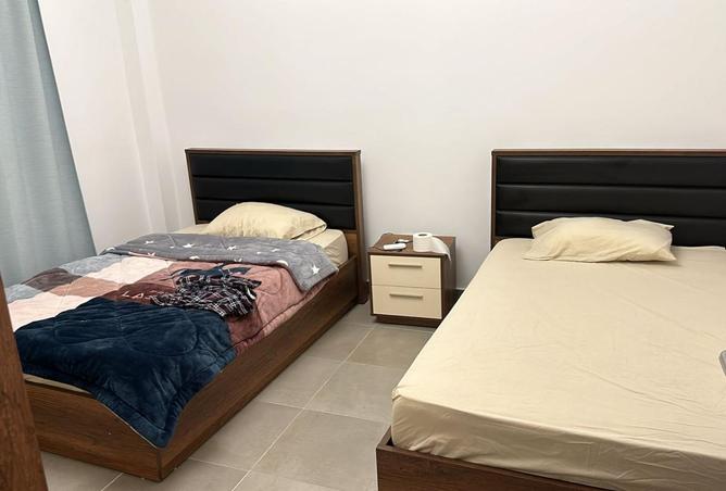 7999897 - Property Image 3