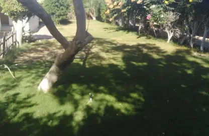 شاليه - 2 غرف نوم - 3 حمامات للايجار في مارينا 6 - مارينا - العلمين - الساحل الشمالي