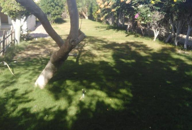 8165101 - الصورة الرئيسية للعقار