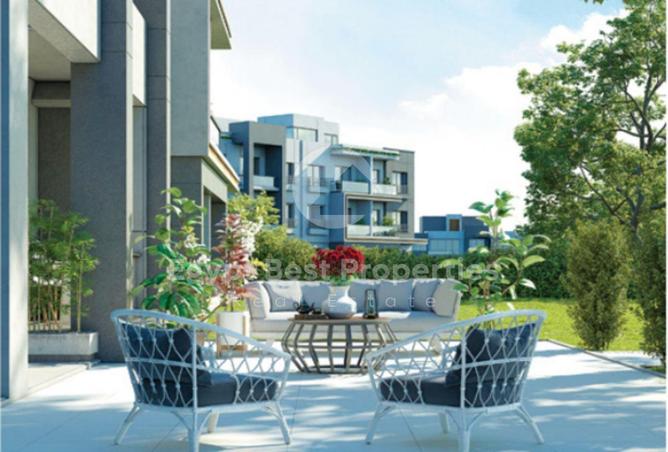 7999934 - Property Image 3