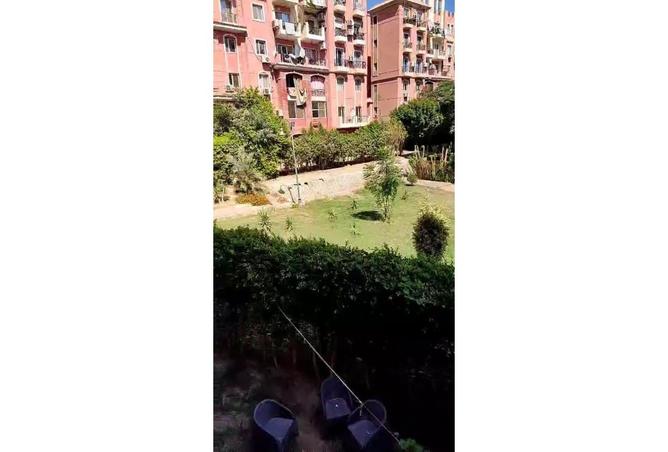 7986201 - Property Image 2