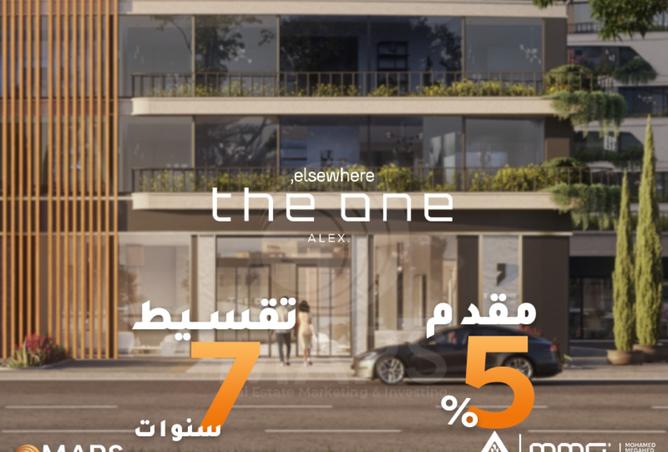 8275376 - Property Image 2