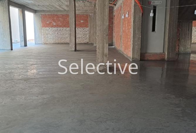 8005571 - Property Image 3