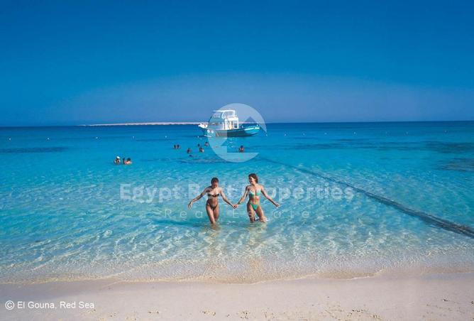 7897629 - صورة العقار 3