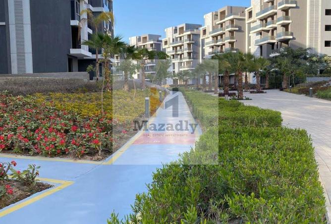 8369432 - صورة العقار 3