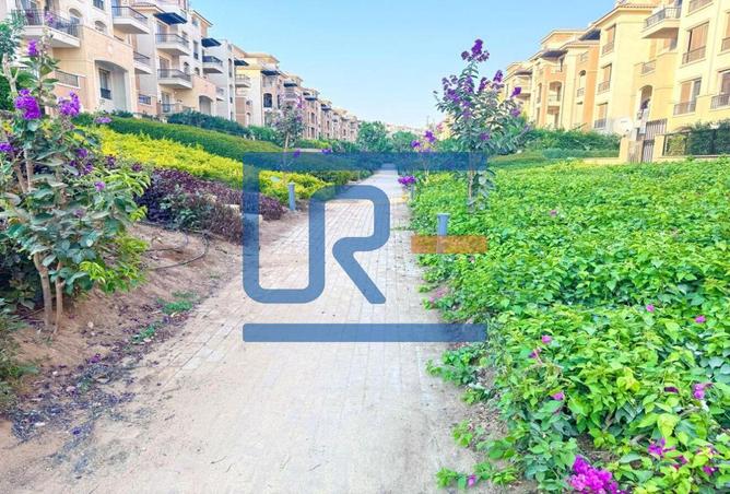7952167 - صورة العقار 3