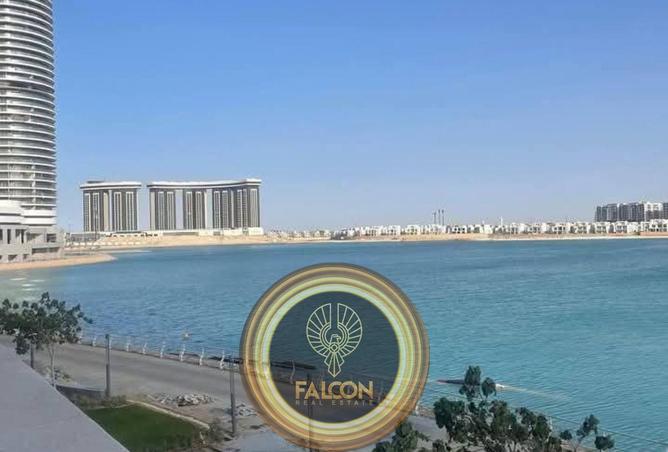 8233840 - صورة العقار 3