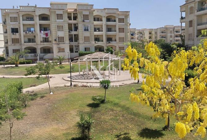 7939931 - صورة العقار 2