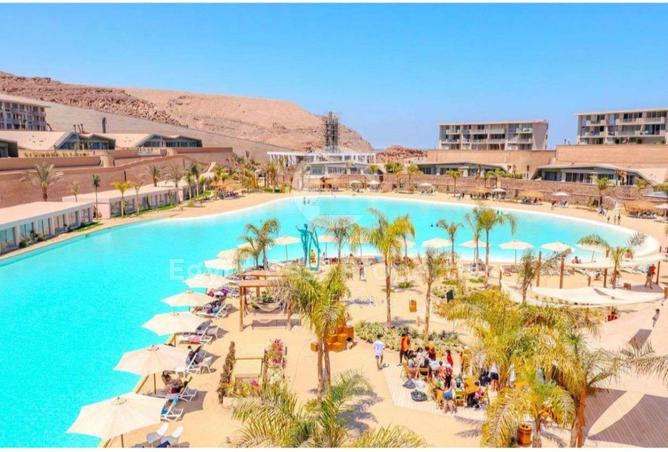 7906797 - صورة العقار 3