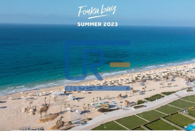 8004369 - صورة العقار 2