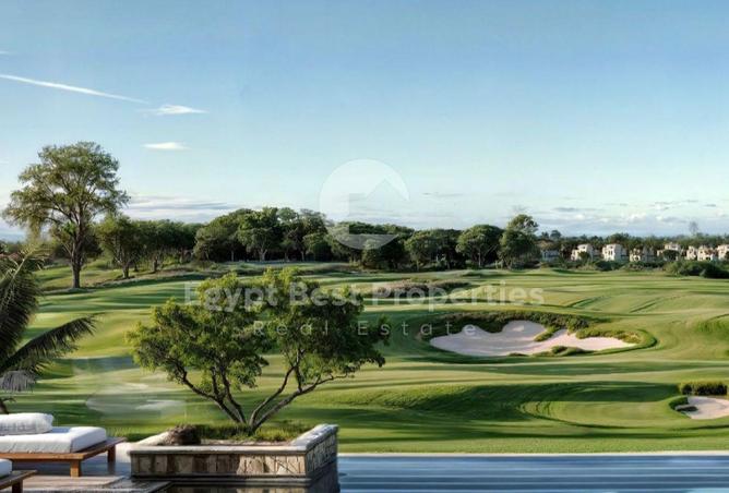 8427220 - Property Image 3