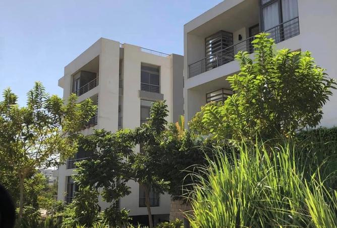 8526851 - Property Image 3