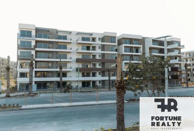 8372784 - Property Image 3