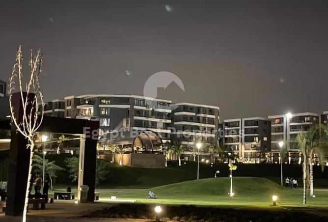 8414089 - Property Image 3