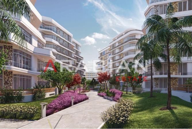 8402873 - Property Image 3