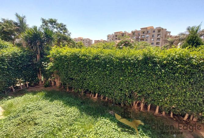 8030091 - صورة العقار 3