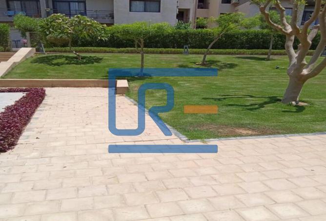 8161910 - Property Image 3