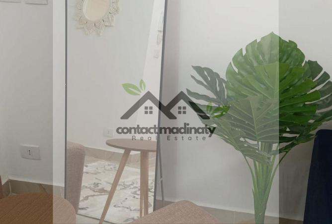 8037244 - Property Image 3