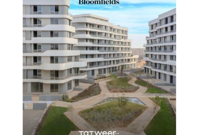 8049500 - Property Image 3