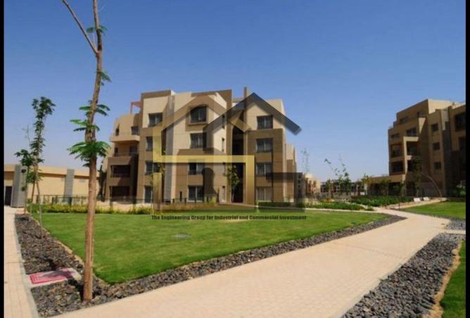 8066779 - Property Image 2