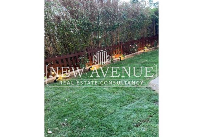 8243158 - Property Image 2