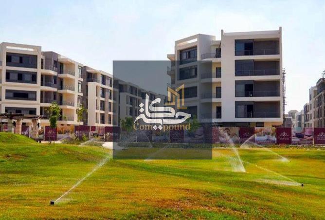 8381782 - Property Image 3