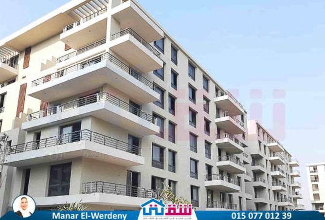 8174784 - Property Image 2