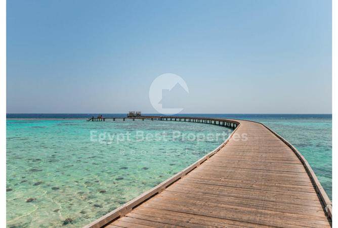 7984565 - Property Image 3