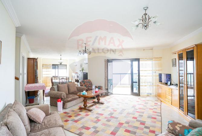 8082703 - Property Image 2