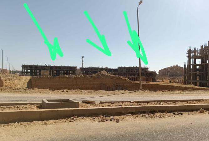 8398296 - Property Image 3