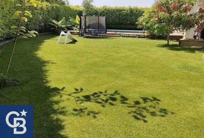 8318355 - Property Image 3