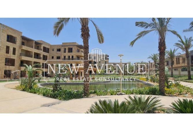 8194225 - Property Image 3