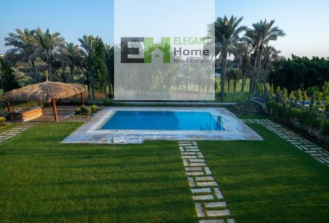 8174590 - Property Image 2