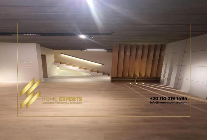 8025935 - Property Image 3
