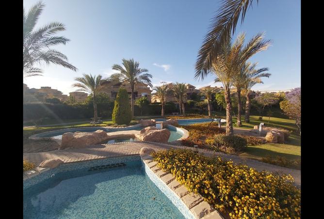 7975355 - صورة العقار 3